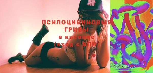 индика Верхний Тагил