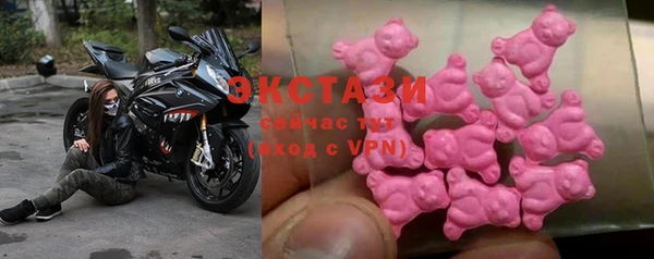 индика Верхний Тагил