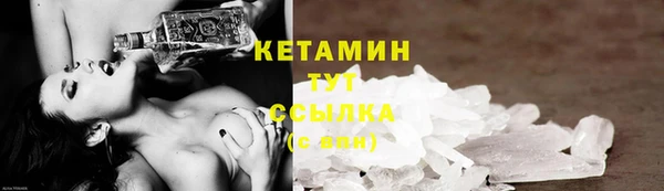 шишки Бородино