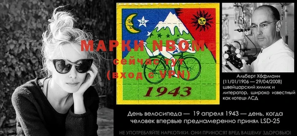 индика Верхний Тагил