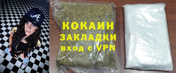 индика Верхний Тагил