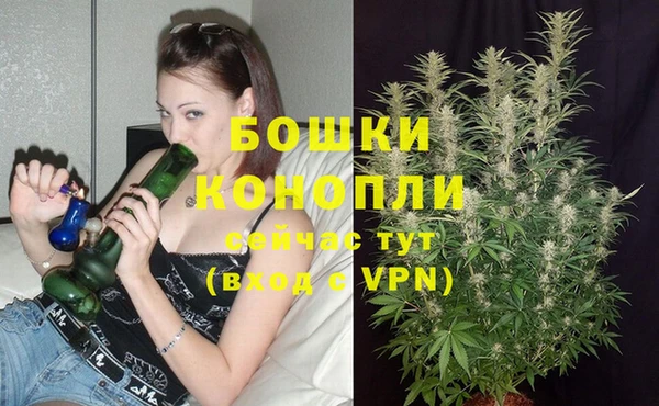 ПСИЛОЦИБИНОВЫЕ ГРИБЫ Верея