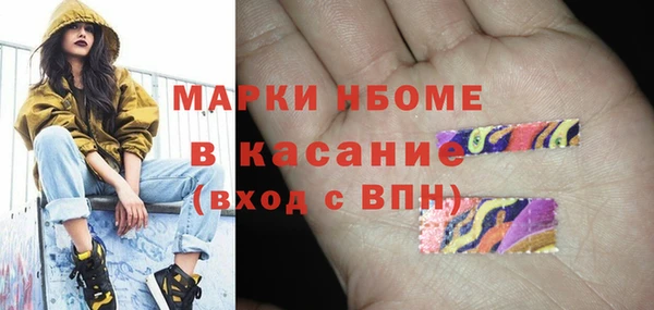 индика Верхний Тагил